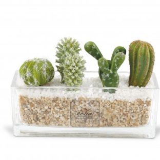 エクリア消臭アーティフィシャルグリーン【サボテン】