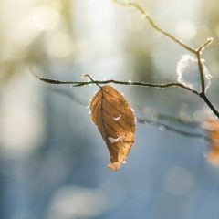 冬場の寒さと乾燥対策