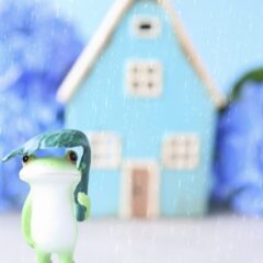 梅雨時期、部屋干しの臭い対策は？