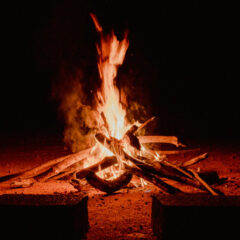 待望のセカホシ、アウトドア満喫！