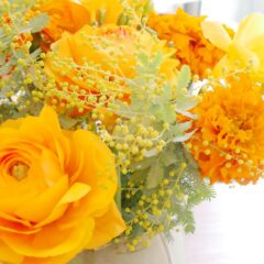 3/8 は春を告げる花『ミモザ』の日、春は新しい事が始まったり、始めたくなる時期！