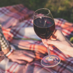 ゴールデンウィークは近場でピクニック