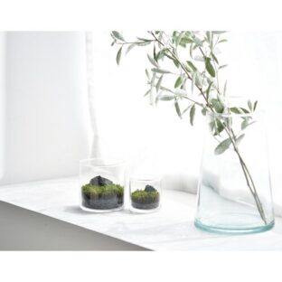 苔テラリウム GLASST MOSS 栽培セット L